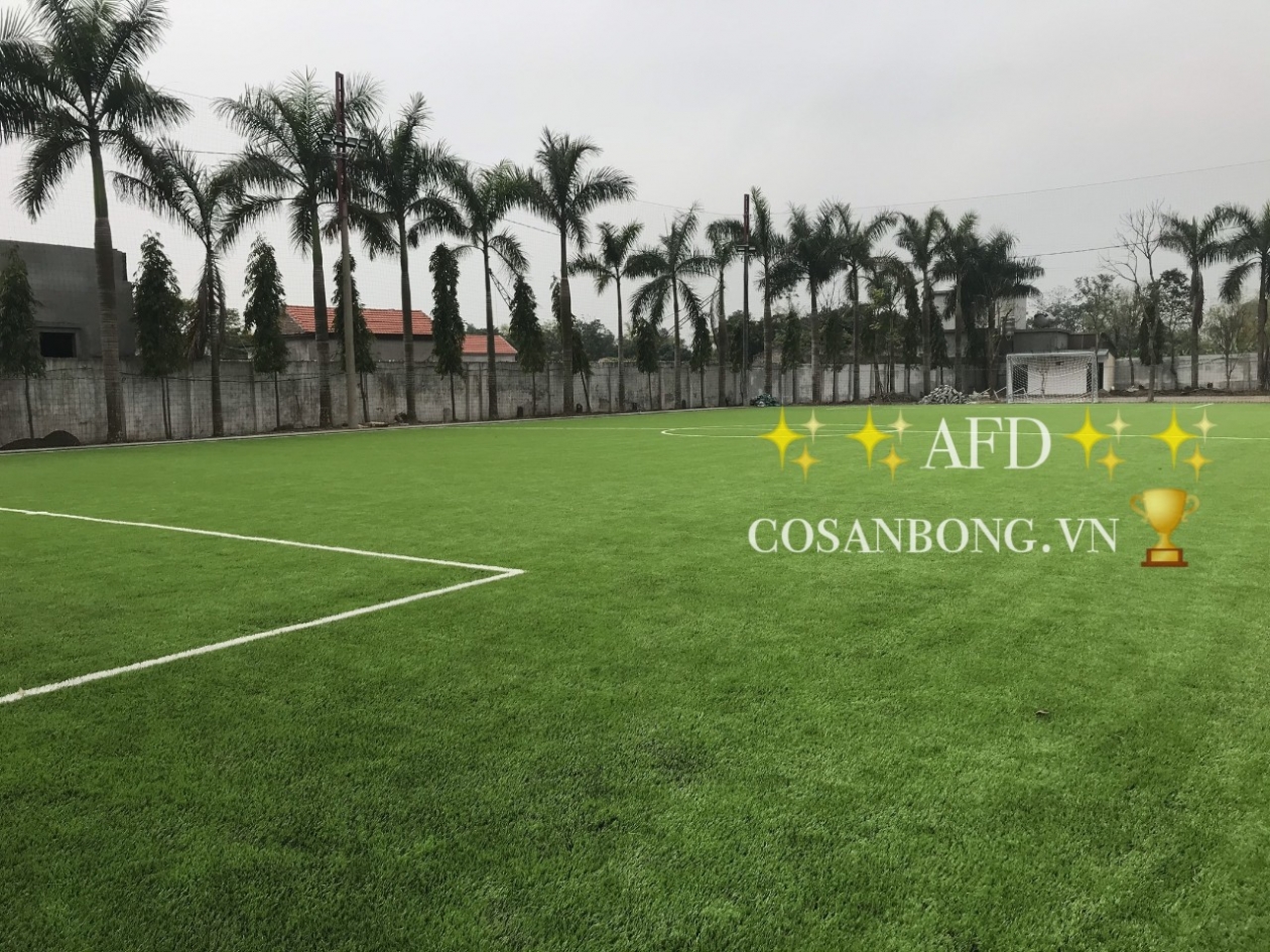 Hoàn thiện sân bóng Reverside tại Ninh Bình