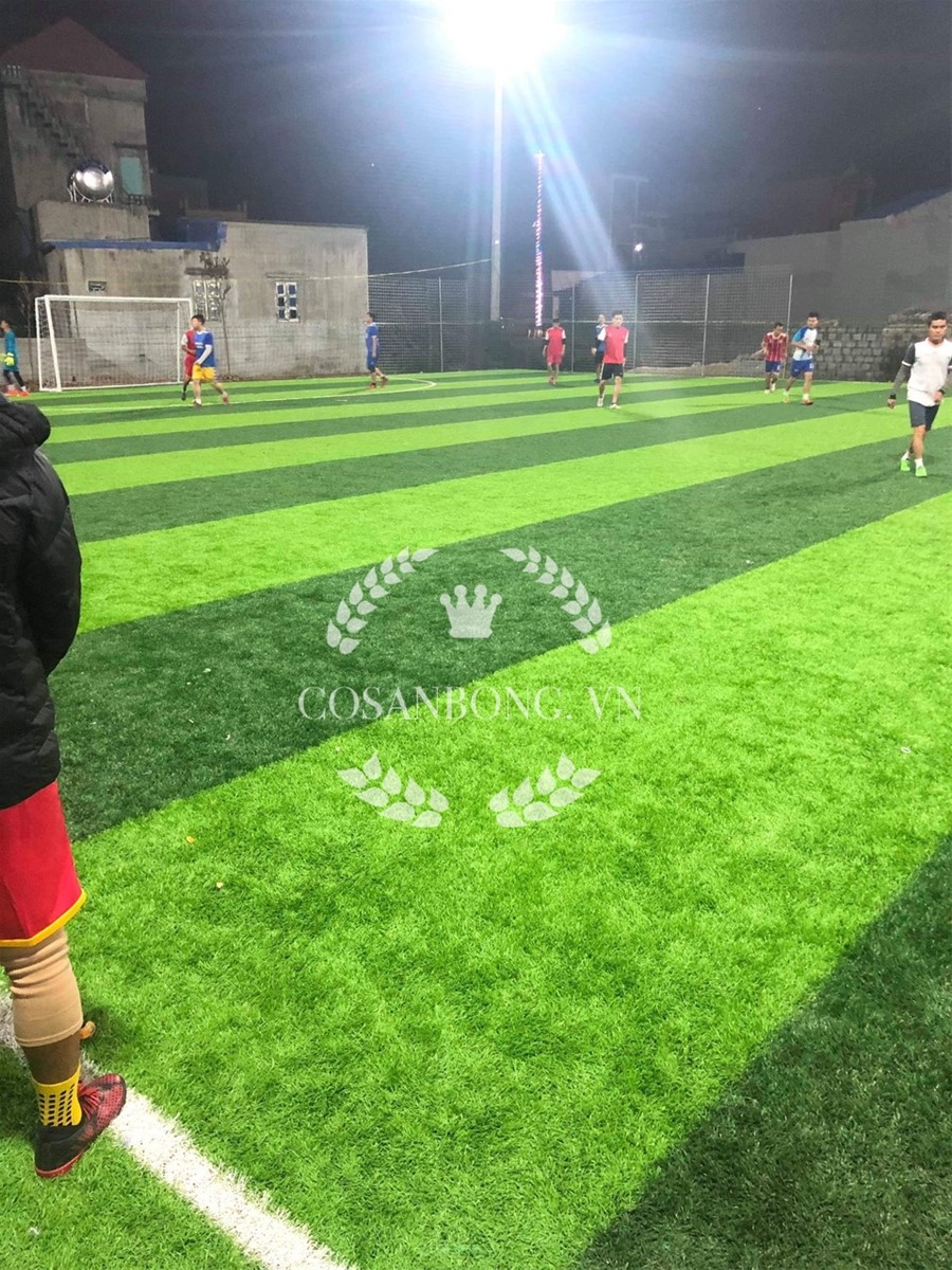 Hoàn thiện sân bóng nhân tạo tại tỉnh Nam Định