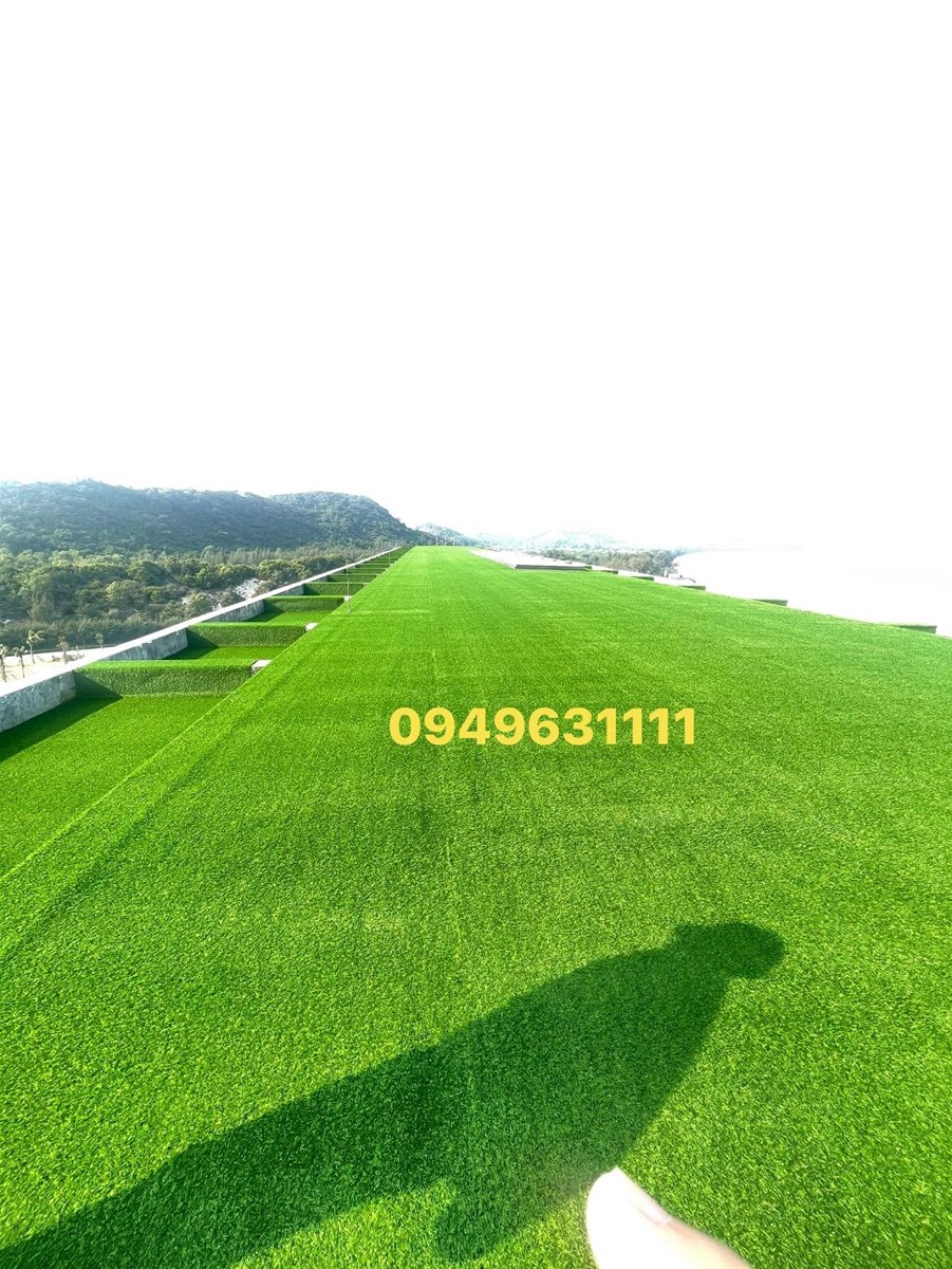 Cỏ nhân tạo nguyên sinh mức kinh phí hợp lý và màu sắc sáng