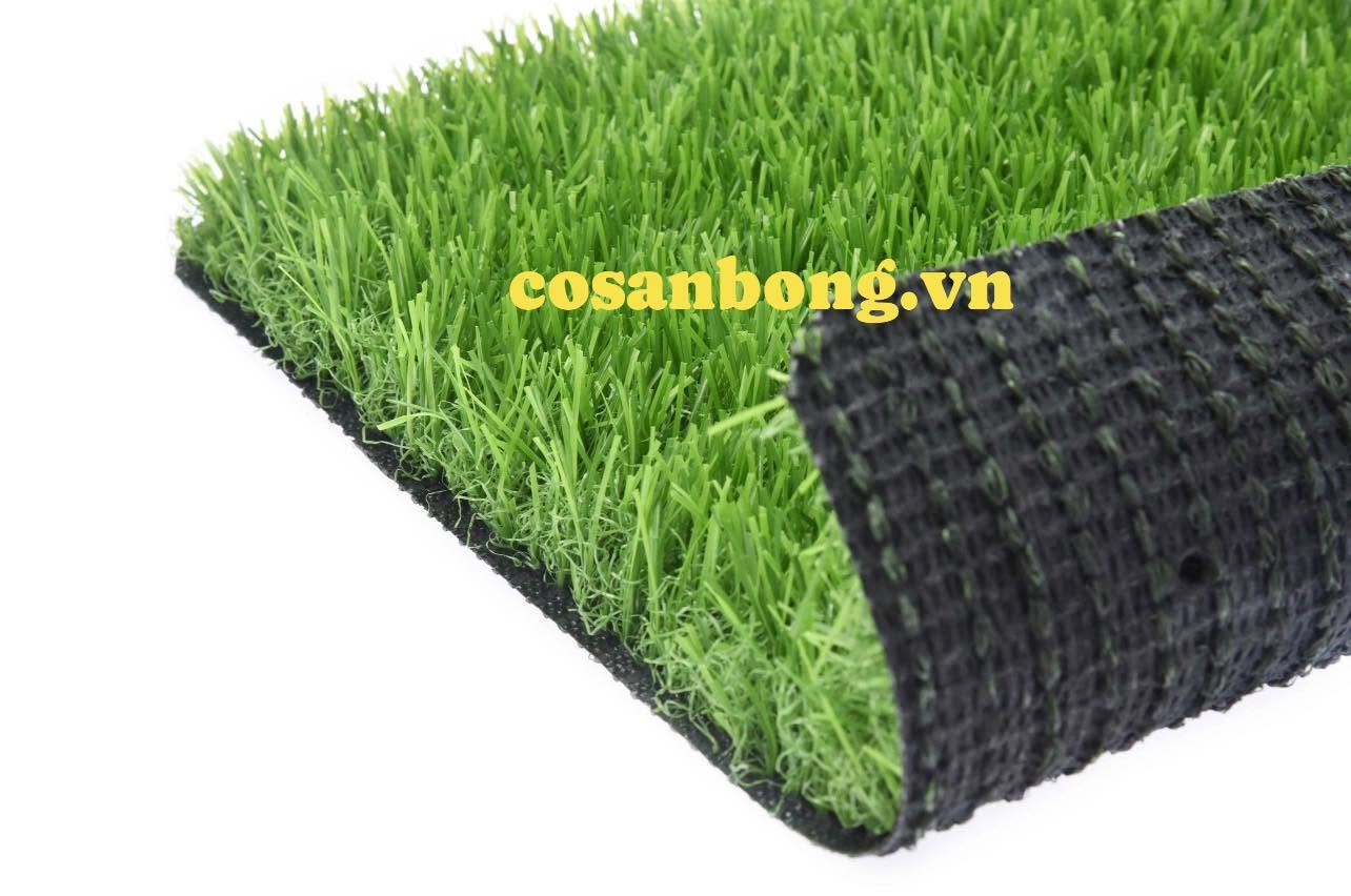 Cỏ nhân tạo nguyên sinh mức kinh phí hợp lý và màu sắc sáng