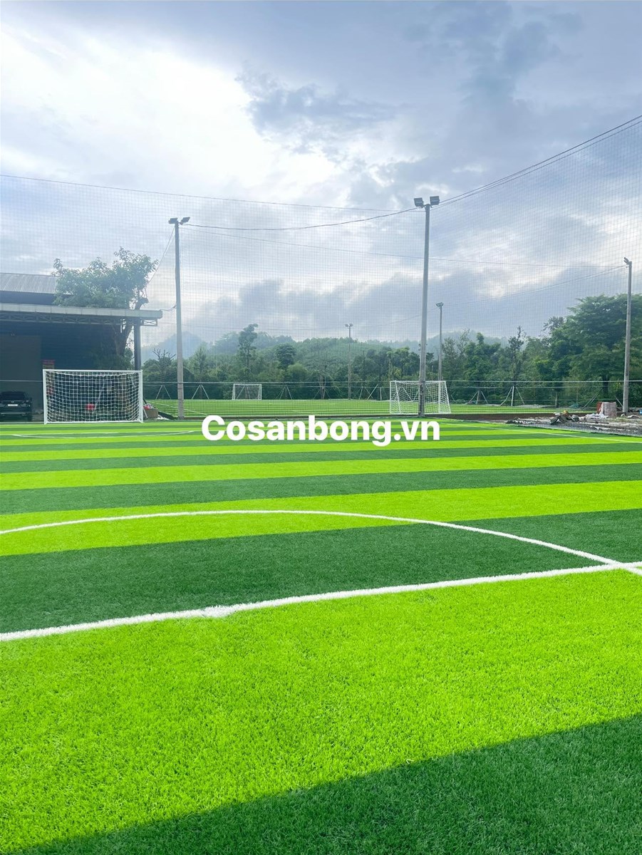 Sân Bóng Cỏ Nhân Tạo Ứng Dụng Vào Đời Sống Thể Thao Và Tiềm Năng Đầu Tư