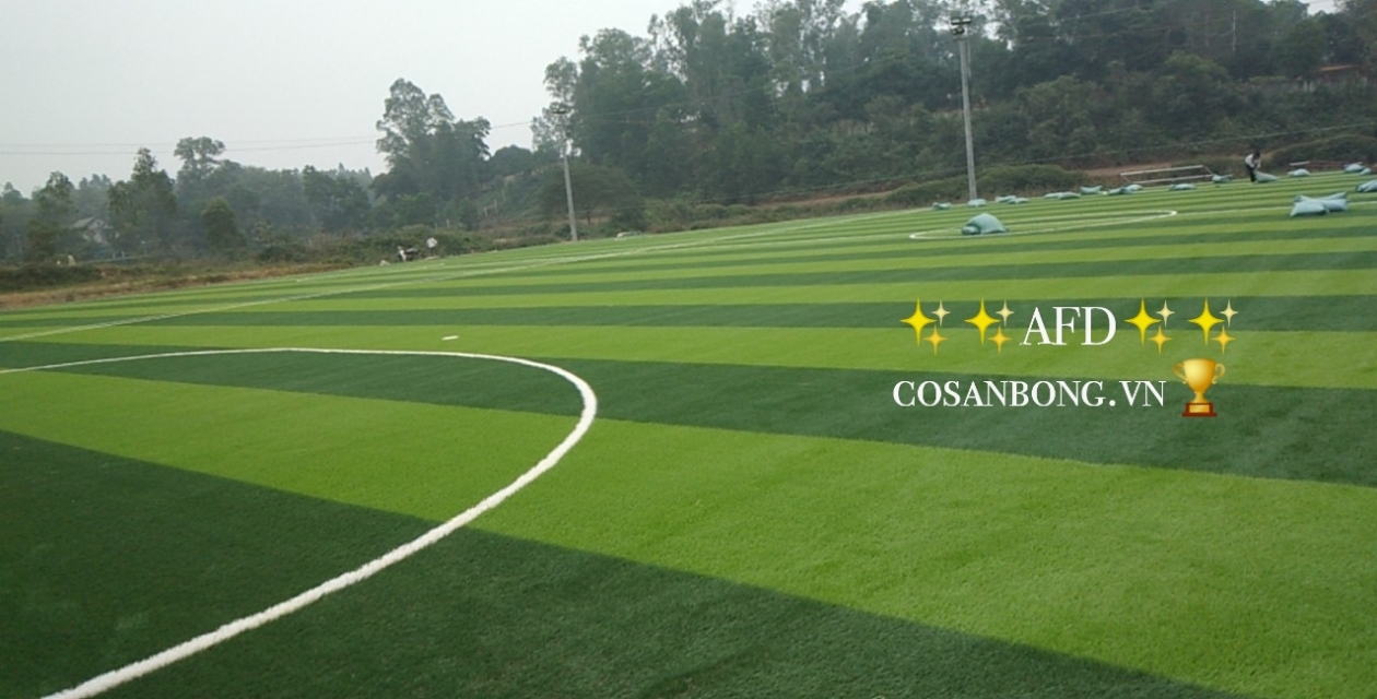Công trình sân bóng cỏ nhân tạo tại Phú Thọ