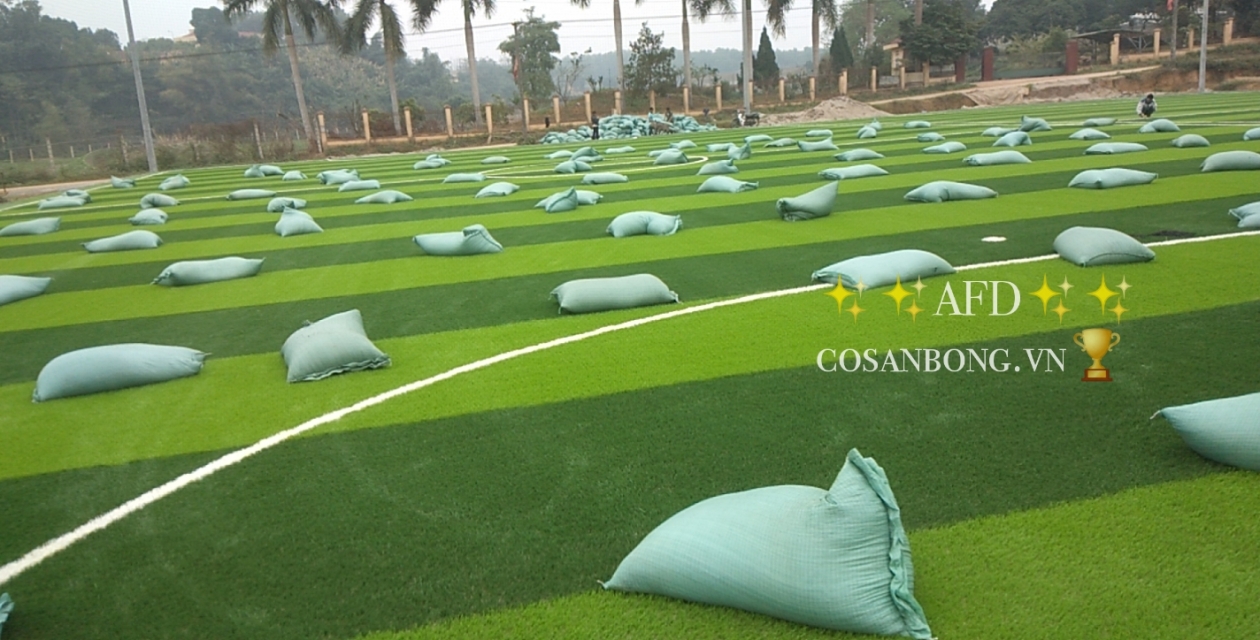 Công trình sân bóng cỏ nhân tạo tại Phú Thọ