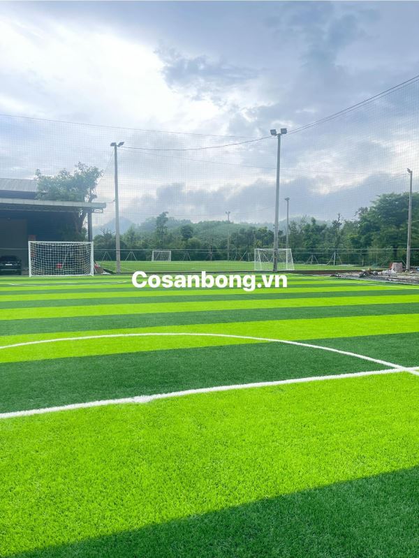 Sân Bóng Cỏ Nhân Tạo Ứng Dụng Vào Đời Sống Thể Thao Và Tiềm Năng Đầu Tư